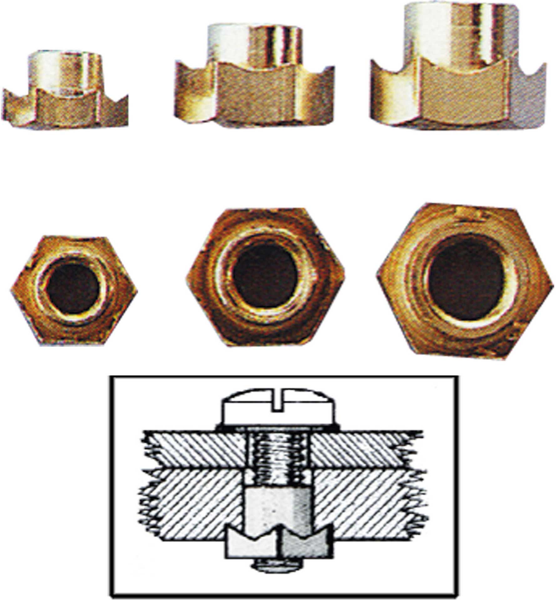 FAMOTEC SERRATED NUTS M2 8PCS.