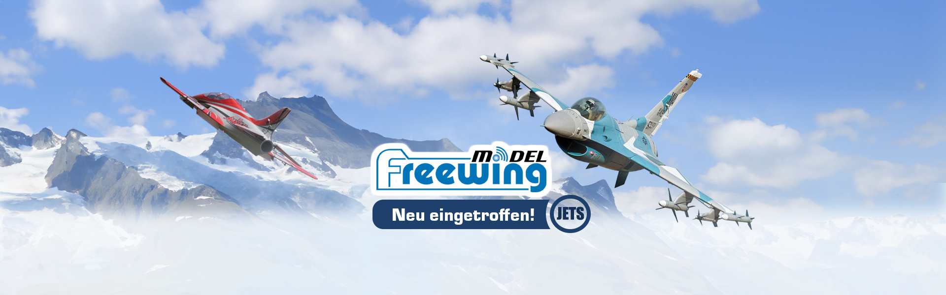 Freewing Model RC Jets RC Planes Modellbau Lindinger FR